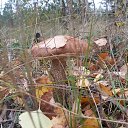 ���� ������, ����� ������, 58 ��� - ��������� 10 ������� 2016 � ������ ������ ����� 2016�