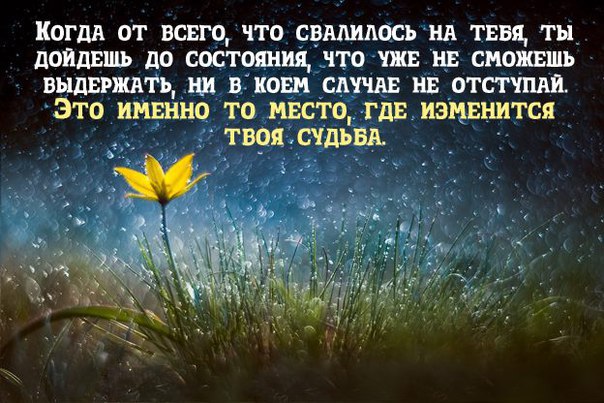   - 25  2016  18:48