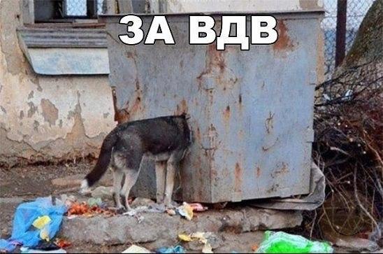     - 25  2017  12:54