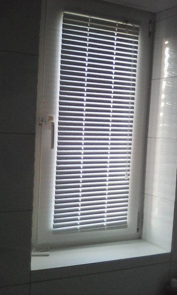 ���� - 24 ������ 2017 � 13:52 - 93