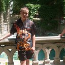 ���� ��������, �������, 33 ���� - ��������� 7 ������� 2017 � ������ ���� ����������