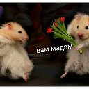 ���� ������, �����-���������, 57 ��� - ��������� 29 ����� 2017