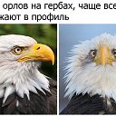 ���� �������, ������ - ��������� 24 ������ 2017 � ������ ���� ���))) 3�