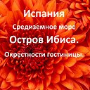  , , 82  -  21  2017   2009 3 ,  
