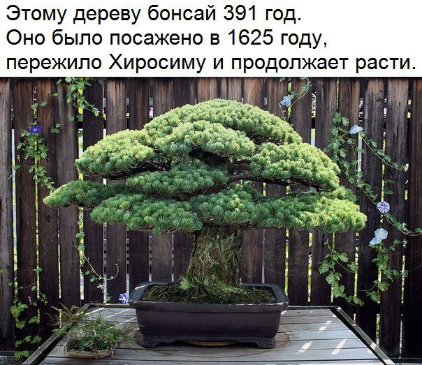  :    - 31  2016  13:32