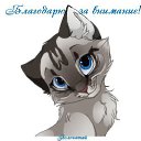 ���� �����, ������, 65 ��� - ��������� 29 ������ 2017 � ������ ���� ����������