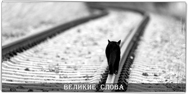 Чтобы душу твою не сгубили, .Чтоб себя наконец-то найти, Чтоб тебя никогда не забыли,Иногда нужно ...