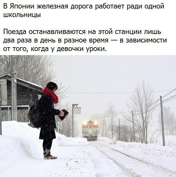  - 3  2017  18:09