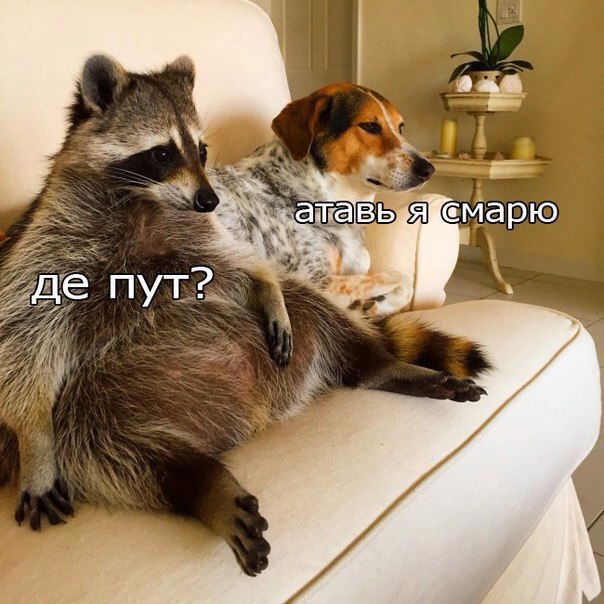    :-) - 1  2016  22:17