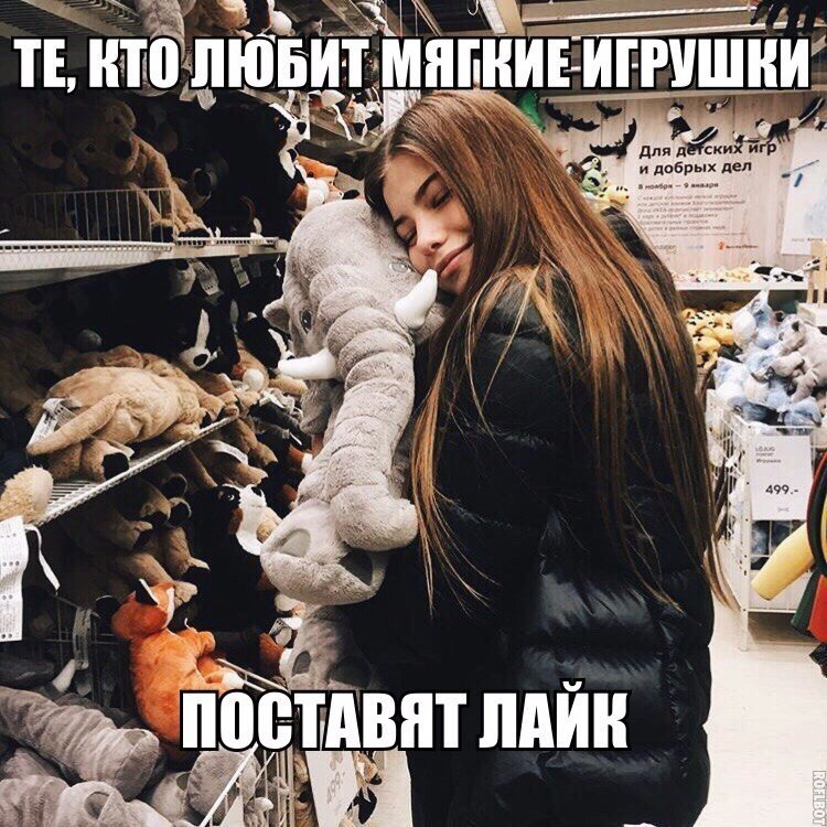 ������� ������ - 21 ������ 2017 � 17:57
