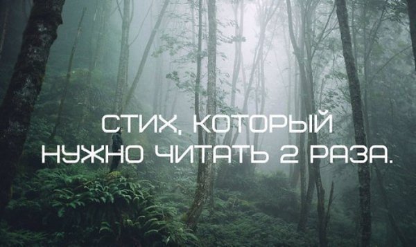 Потрясающий стих! Обязательно прочитайте его два раза. Почему именно два? Прочитайте первый раз и ...