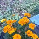 ���� ������, ������, 63 ���� - ��������� 29 �������� 2016