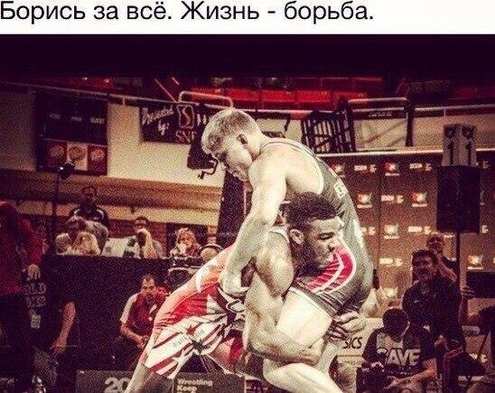  -   - 2  2016  06:13