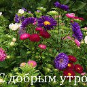 ���� Faina, ���������� - ��������� 14 �������� 2016 � ������ ���� ������� ������