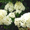 ���� ����������, ���������� - ��������� 15 ������� 2016 � ������ ���� ����������