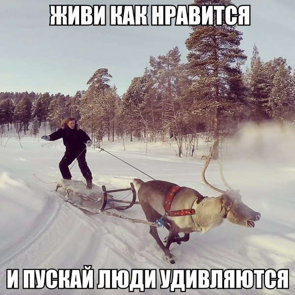     - 22  2017  21:13