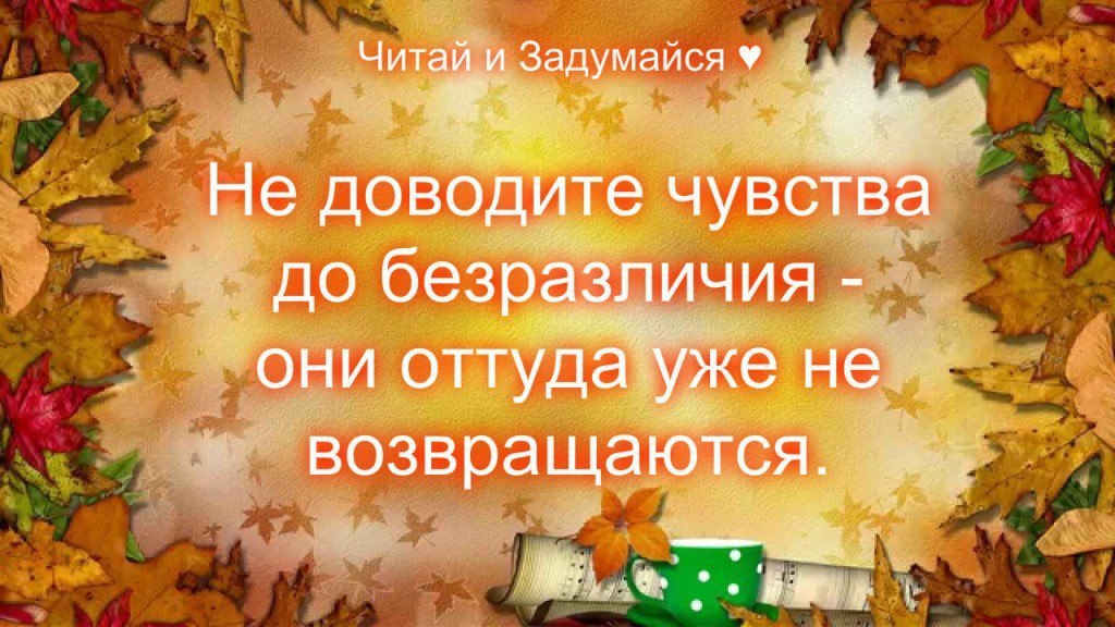 ,   ,    - 20  2016  15:58