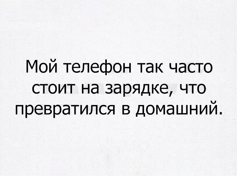    - 6  2016  13:12