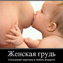 ���� ���������, ���������� - ��������� 17 ������� 2017 � ������ �����