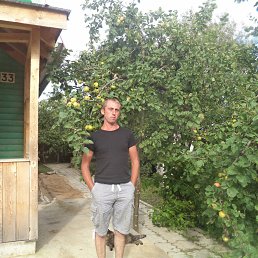 �����, 43 ����, �����-���������