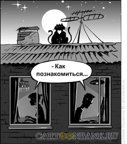 . - 13  2016  14:33