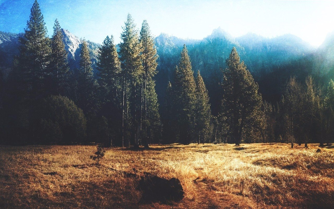   , 