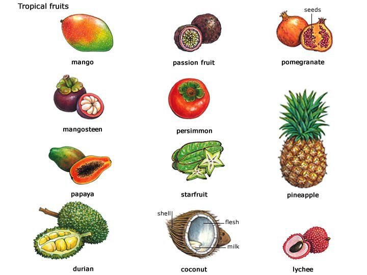 FRUIT.1. apple - 2. peach - 3. pear - 4. banana - 5. plantain -   ... - 3