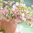  ,  -  24  2017   Pictures