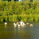 ���� �������, ����� - ��������� 5 ����� 2017 � ������ �������