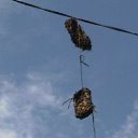 ����� ��� �����...����� ��� ��� 30 ��������...)))���.�������. �� ������� ���� ����������