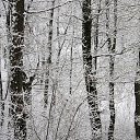 ������ ���� �� ������� ���� ����������