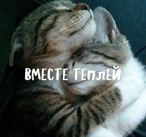 .https://fotostrana.ru/away?to=/sl/kxC2 - 24  2016  11:09