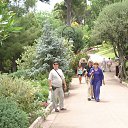 ������ �� ������� ���� ����������