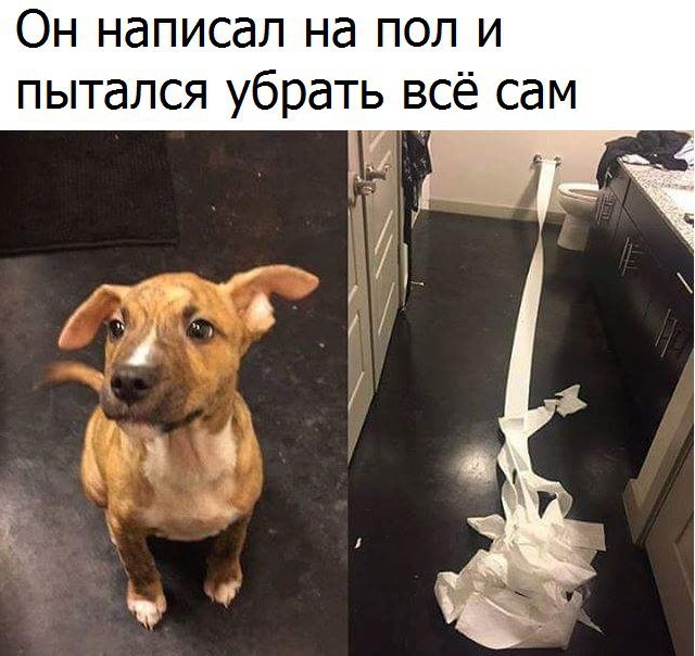  - 6  2016  14:06