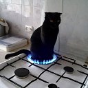 ���� Vitaly, �����, 44 ���� - ��������� 12 ������ 2017 � ������ ������ ��������