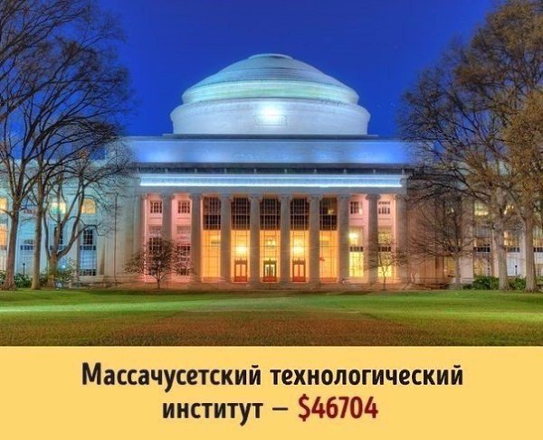 Сколько стоит образование в разных университетах мира