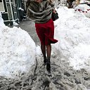 ���� ���������, ������ - ��������� 20 ������� 2016 � ������ ���� ����������