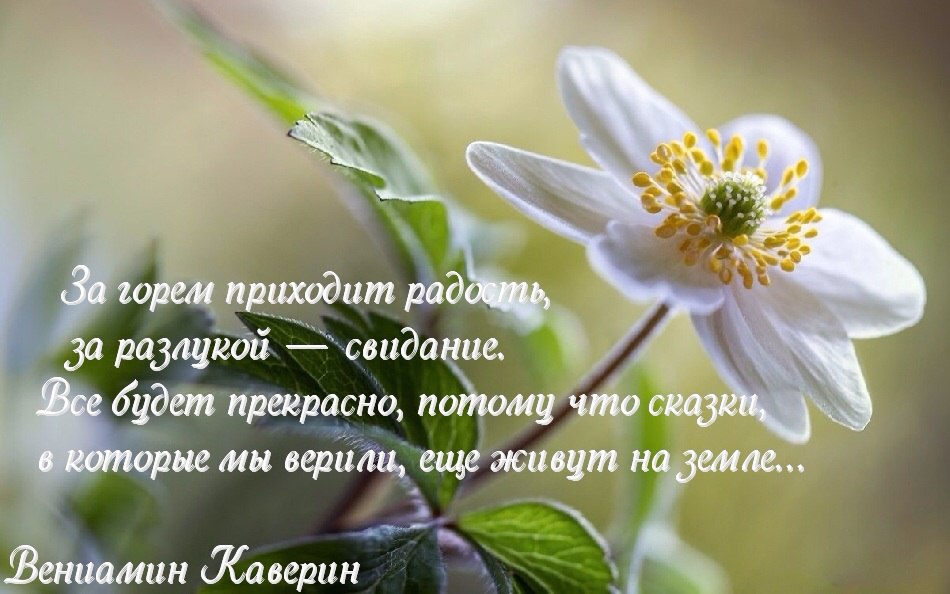   - 26  2016  18:10