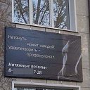 ���� ����, ������ - ��������� 21 ������� 2016 � ������ ��������