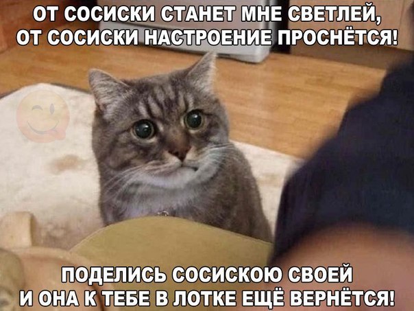    :D - 22  2016  23:36
