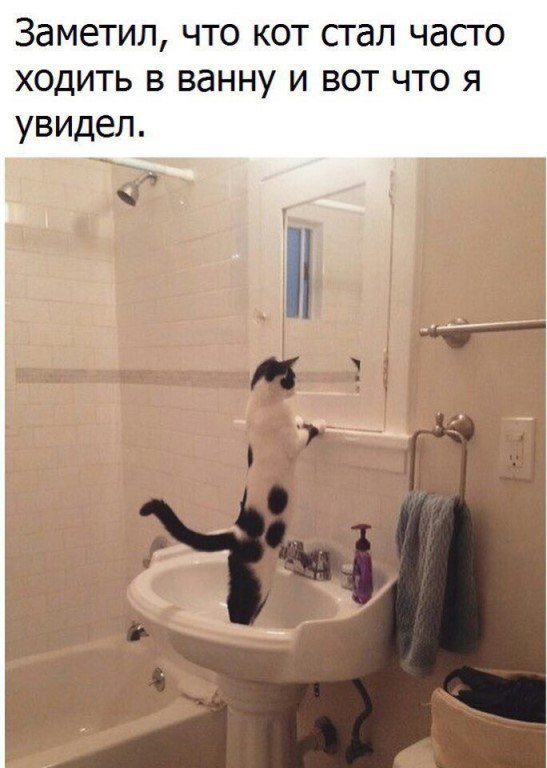 ,   ,    - 1  2017  17:56