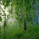 ���� ���������, ������, 66 ��� - ��������� 20 ������� 2016 � ������ ������ ��������