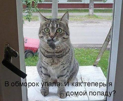    - 27  2016  09:11