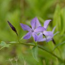  , --, 44  -  20  2016    - 2015