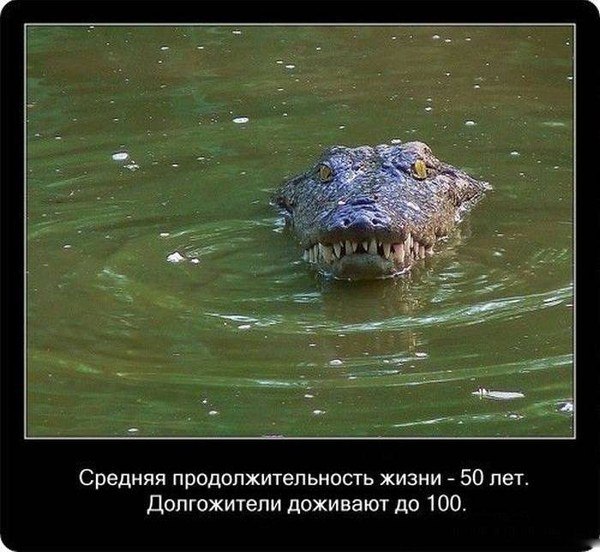    - 20
