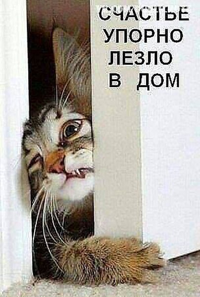 Nаталья N - 15 января 2017 в 15:20