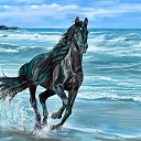 ���� ������, ����������, 52 ���� - ��������� 24 ������ 2017 � ������ ���� ����������