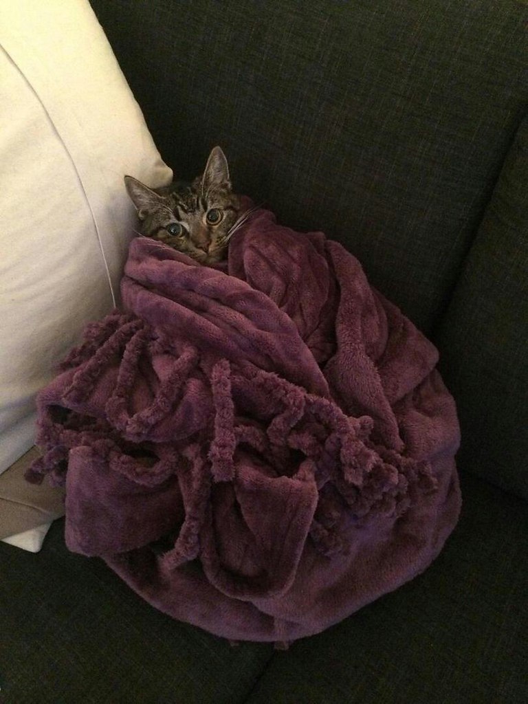 ..      :3