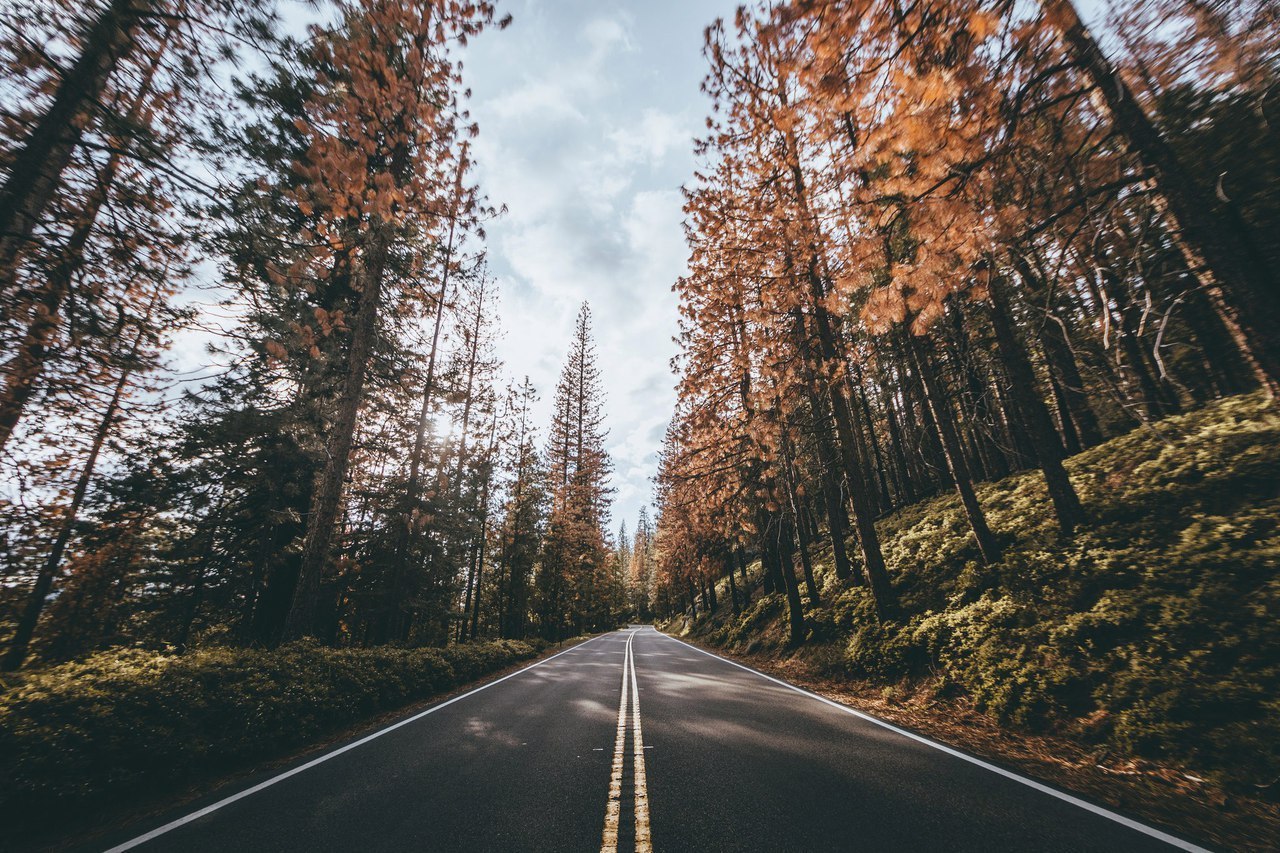 Yosemite, California - 3