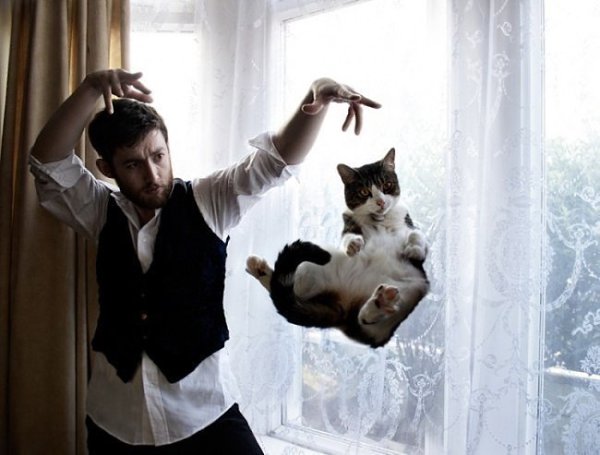 10 фотографий котов, сделанных в самый нужный момент. - 8